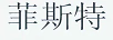 菲斯特