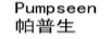 帕普生（PUMPSEEN）