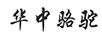 華中駱駝