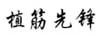 植筋先鋒