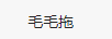 毛毛拖