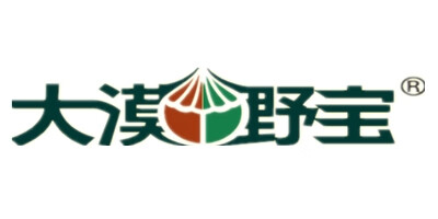 大漠野寶