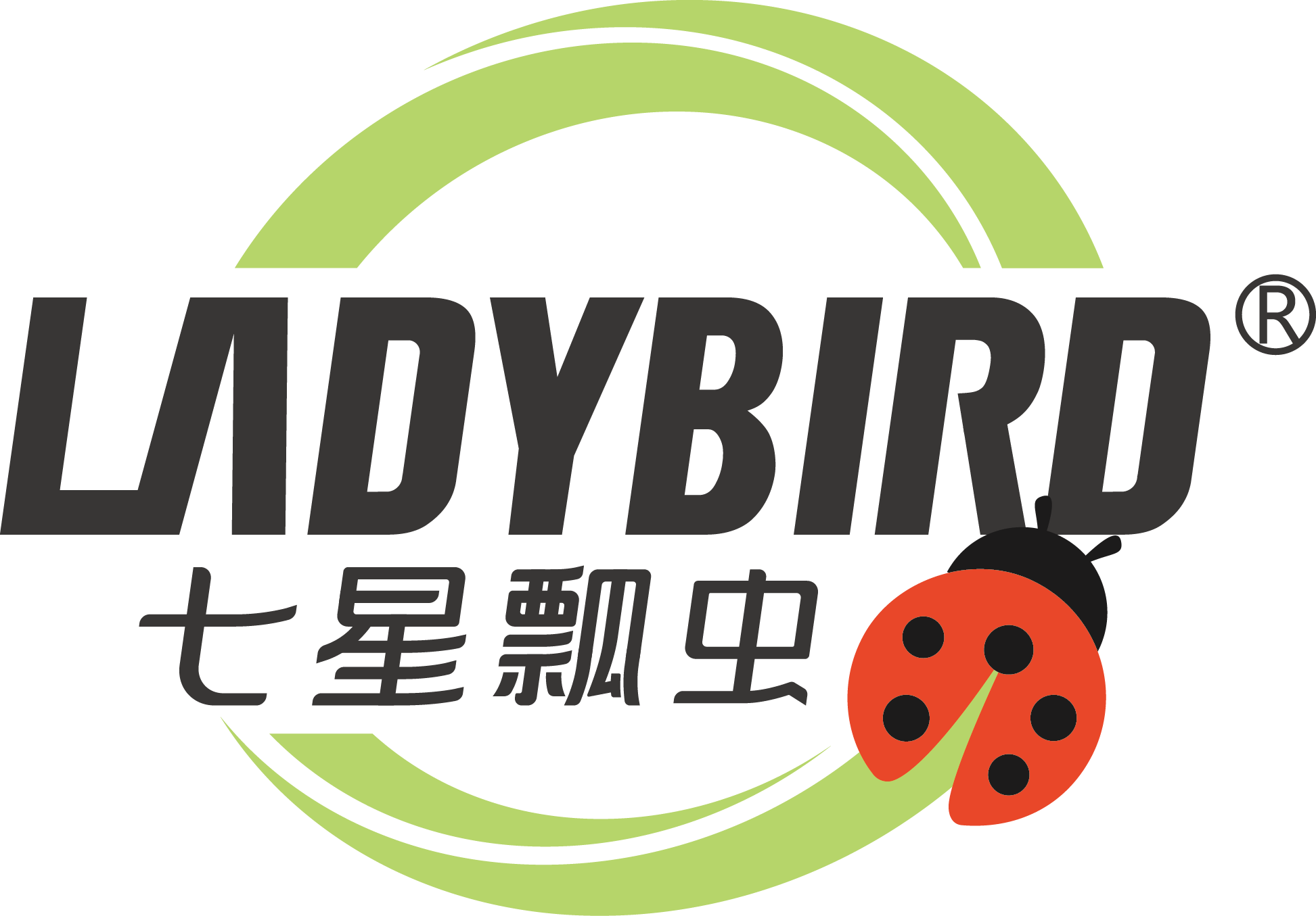 七星瓢蟲(chóng)（LADYBIRD）
