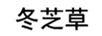 冬芝草
