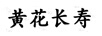 黃花長(zhǎng)壽