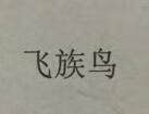 飛族鳥(niǎo)