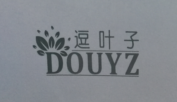 逗葉子（DOUYZ）