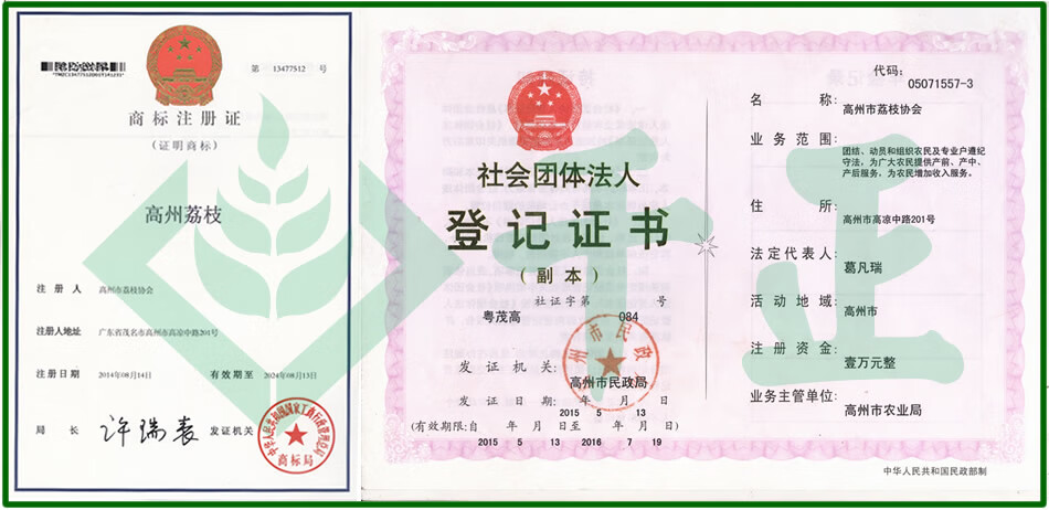 高州荔枝