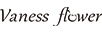 Vaness Flower