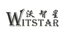 沃智星（WITSTAR）