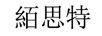 絔思特