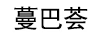 蔓巴薈