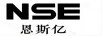 恩斯億（NSE）
