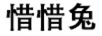 惜惜兔