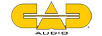 AUDIO
