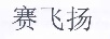 賽飛揚