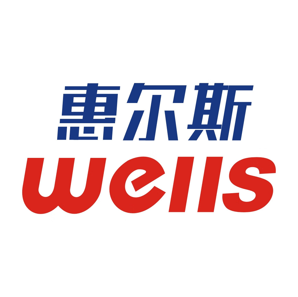 惠爾斯（wells）