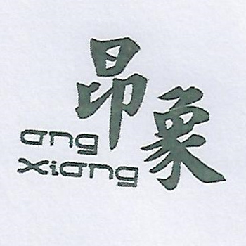 昂象（ang xiang）
