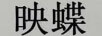 映蝶