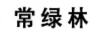 常綠林