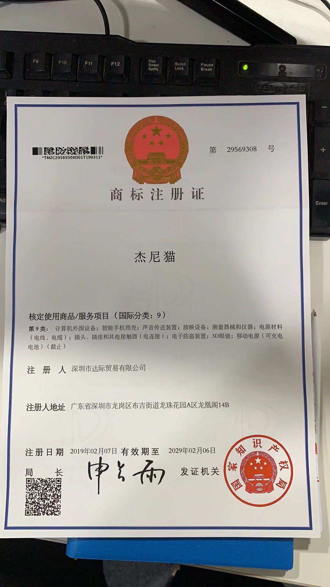 杰尼貓
