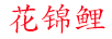 花錦鯉