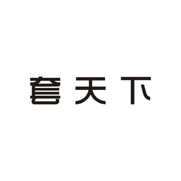 套天下