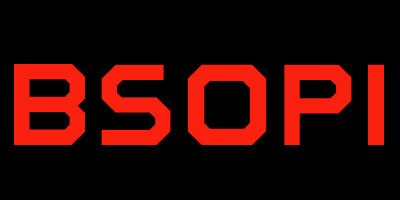 BSOPI