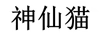 神仙貓