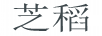 芝稻