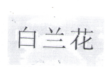 白蘭花
