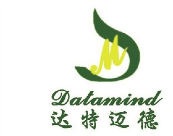 達特邁德（Datamind）