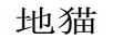 地貓