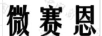 微賽恩