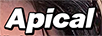 Apical eyes