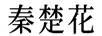 秦楚花