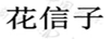 花信子