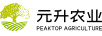 元升