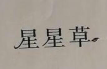 星星草