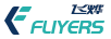 飛燁 FLIYERS