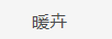 暖卉