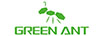 GREEN ANT