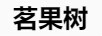 茗果樹(shù)