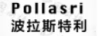 波拉斯特利
