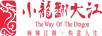 小龍翻大江（THE WAY OF THE DRAGON）