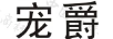 寵爵