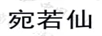 宛若仙