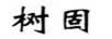 樹固