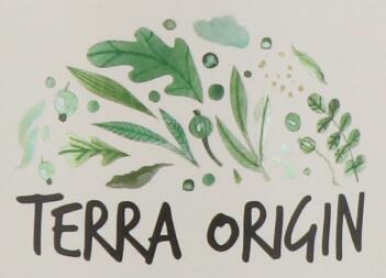 TERRA ORIGIN