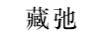 藏弛